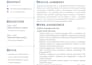 write a professional ats optimized CV for job applications